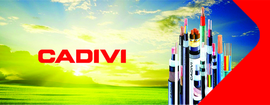 Công Ty TNHH Điện PK cung cấp cáp điện Cadivi nhanh - giá tốt tại Việt Nam