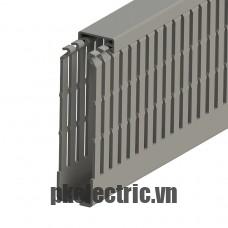 Máng nhựa đi dây tủ điện 25x100mm dài 2m mã 551031 Klemsan