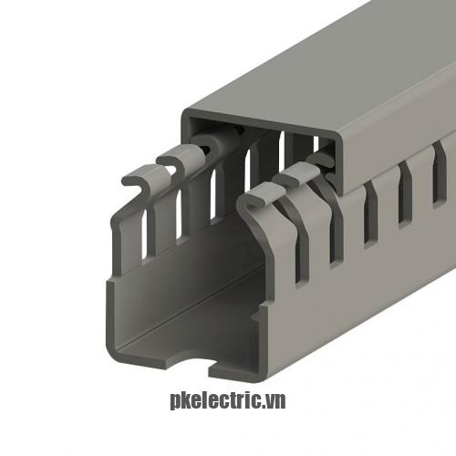Máng nhựa đi dây tủ điện 25x30mm dài 2m mã 551010 Klemsan