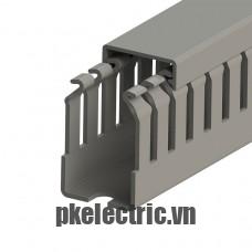 Máng nhựa đi dây tủ điện 25x40mm dài 2m mã 551011 Klemsan
