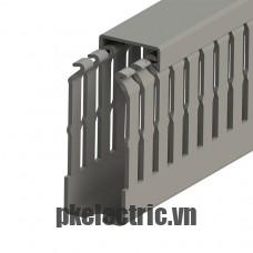 Máng nhựa đi dây tủ điện 25x60mm dài 2m mã 551012 Klemsan