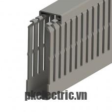 Máng nhựa đi dây tủ điện 25x80mm dài 2m mã 551030 Klemsan