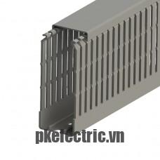 Máng nhựa đi dây tủ điện 40x100mm dài 2m mã 551032 Klemsan