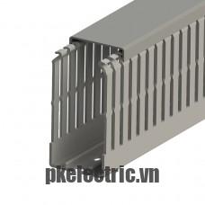 Máng nhựa đi dây tủ điện 40x80mm dài 2m mã 551015 Klemsan