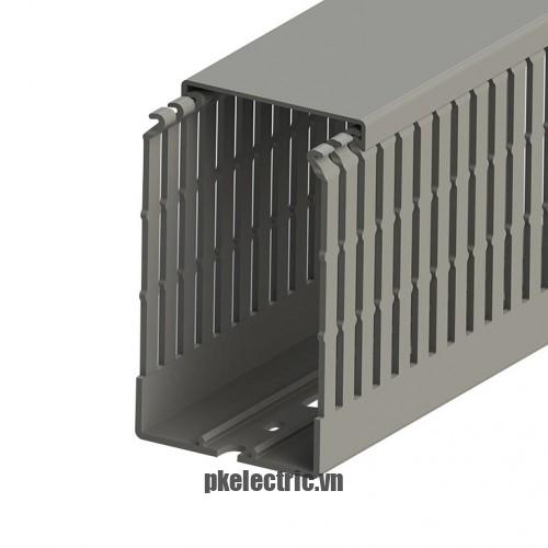 Máng nhựa đi dây tủ điện 60x100mm dài 2m mã 551033 Klemsan