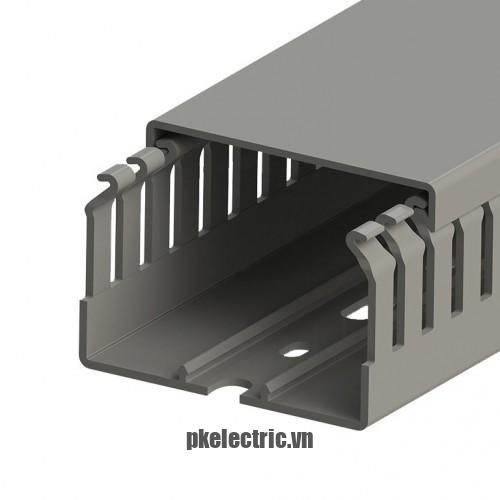 Máng nhựa đi dây tủ điện 60x40mm dài 2m mã 551016 Klemsan