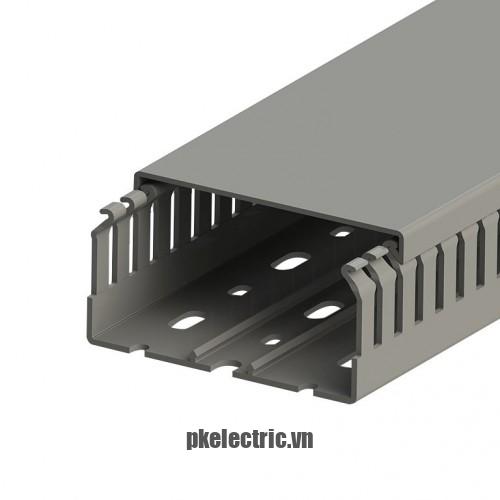 Máng nhựa đi dây tủ điện 80x40mm dài 2m mã 551034 Klemsan
